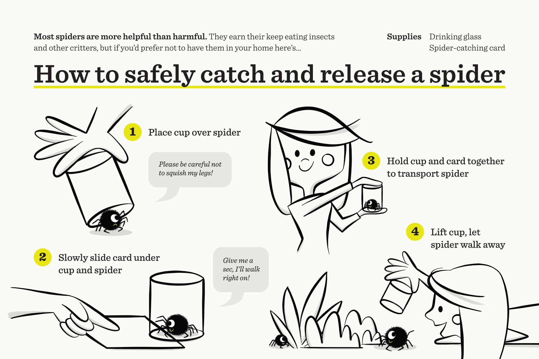 Why You Should Never Kill A Spider In Your Home IFLScience