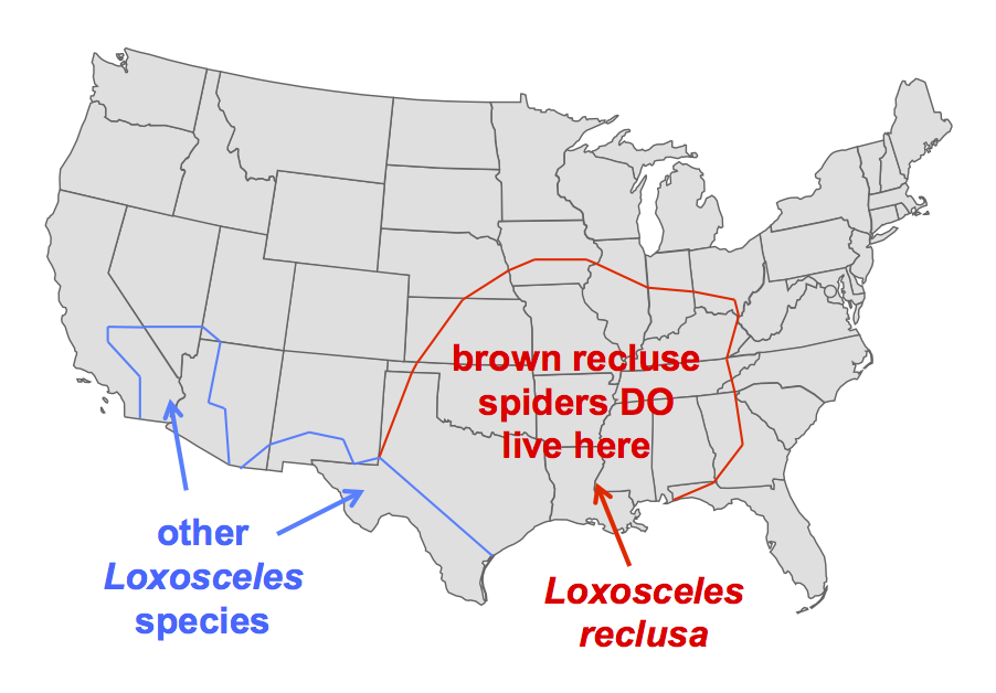 Brown Recluse Spider Map