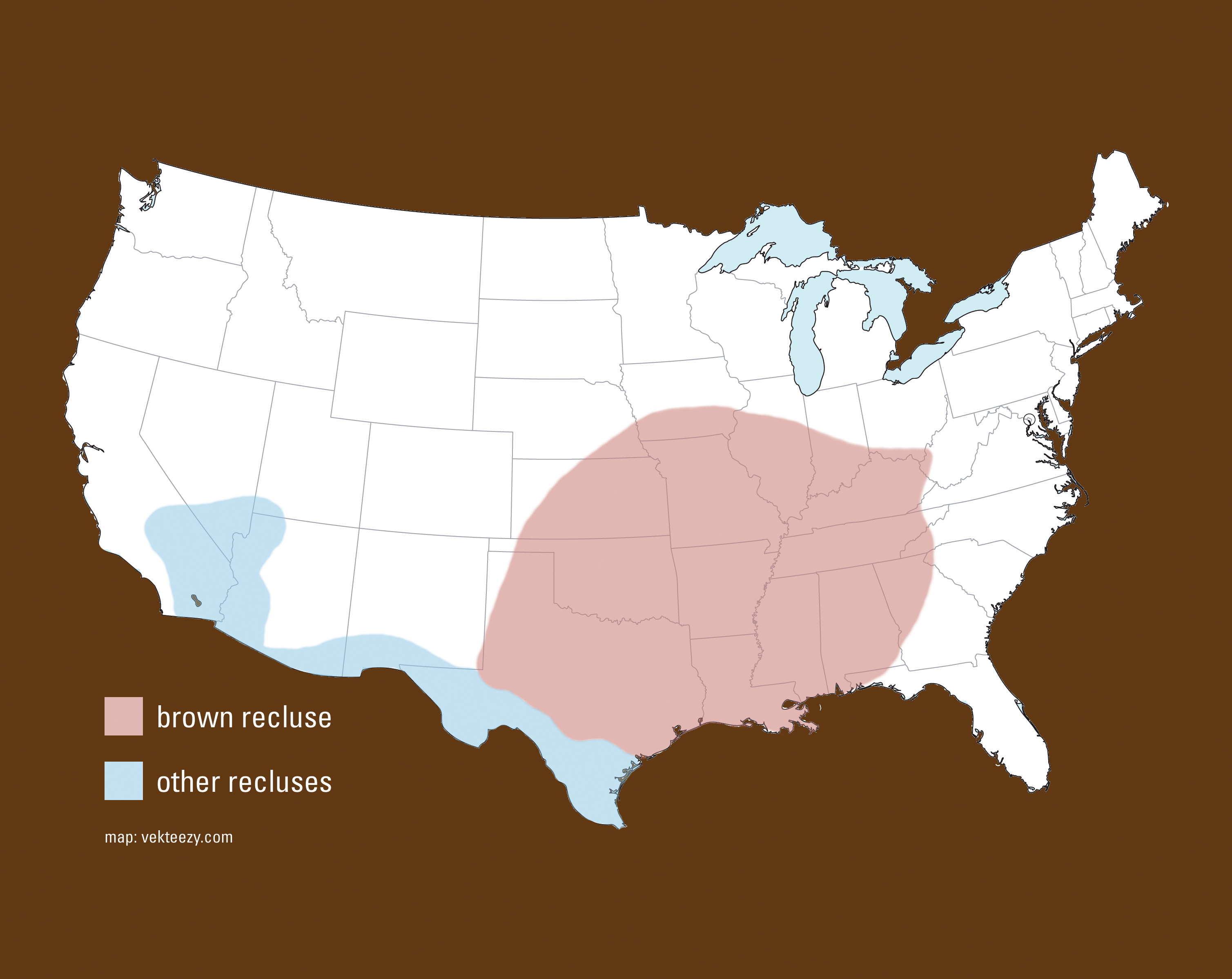 Black Widow and Recluses - Alabama Cooperative Extension System